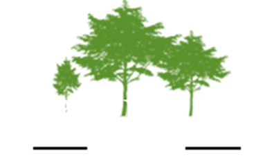 Parkside Inn Motel